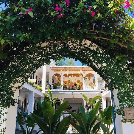 Coto Island Beach Village Homestay Dao Co To Exteriér fotografie